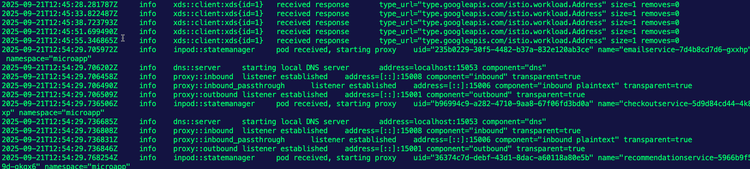 Debugging Ztunnel In Istio Ambient Mesh