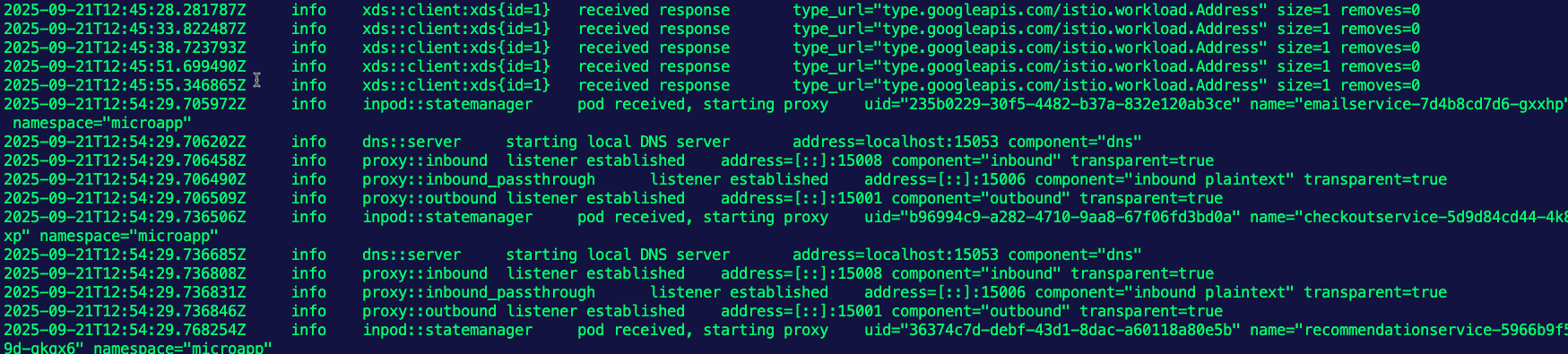 Debugging Ztunnel In Istio Ambient Mesh